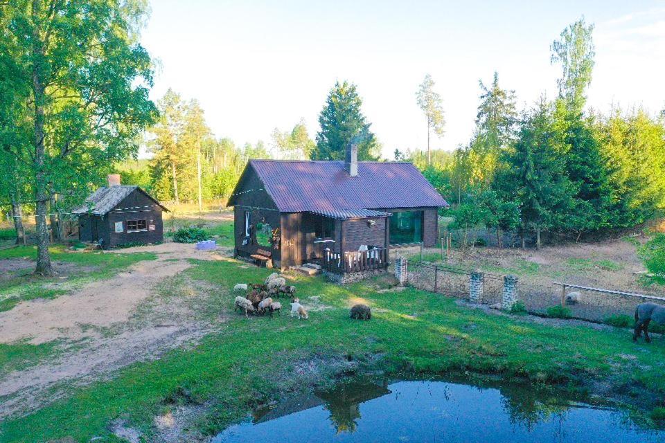 Private Farm Jakuzzi Sauna In The Forest Talsi Exteriör bild