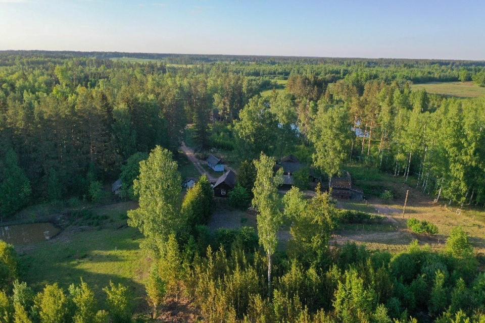 Private Farm Jakuzzi Sauna In The Forest Talsi Exteriör bild