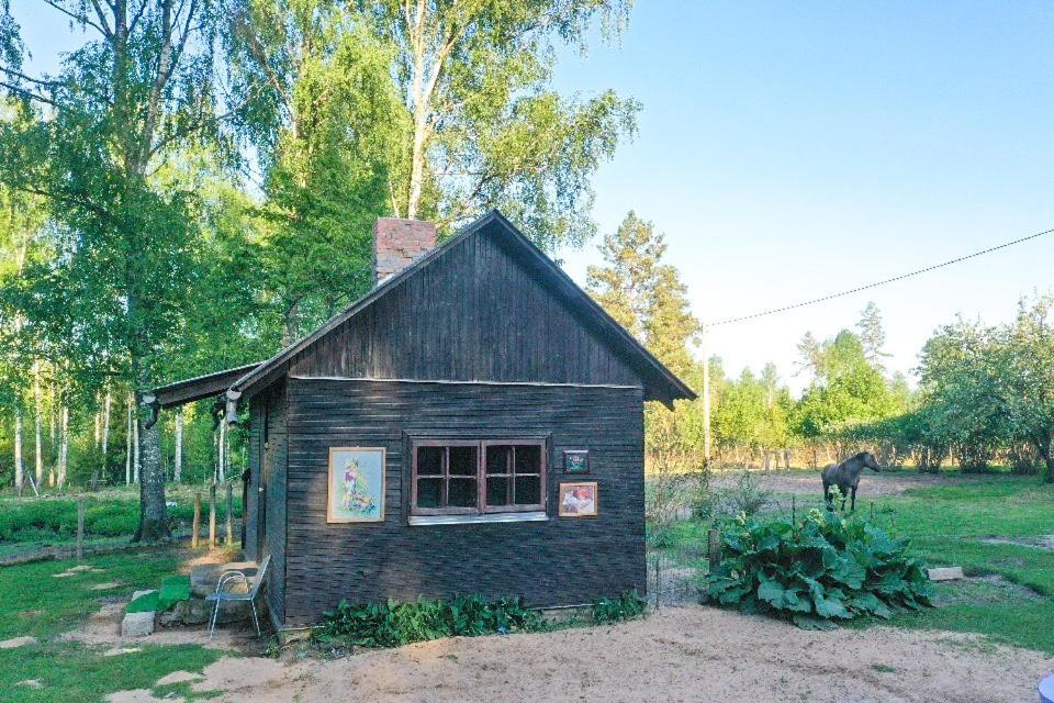 Private Farm Jakuzzi Sauna In The Forest Talsi Exteriör bild